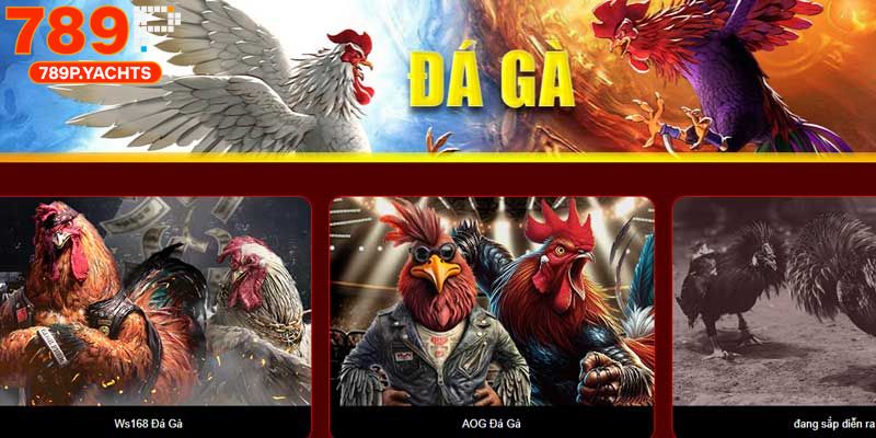 Trực Tiếp Đá Gà Thomo 789p